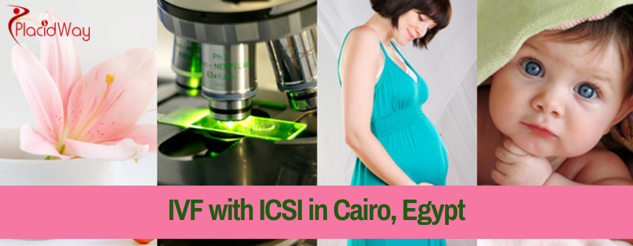 IVF with ICSI in Cairo, Egypt